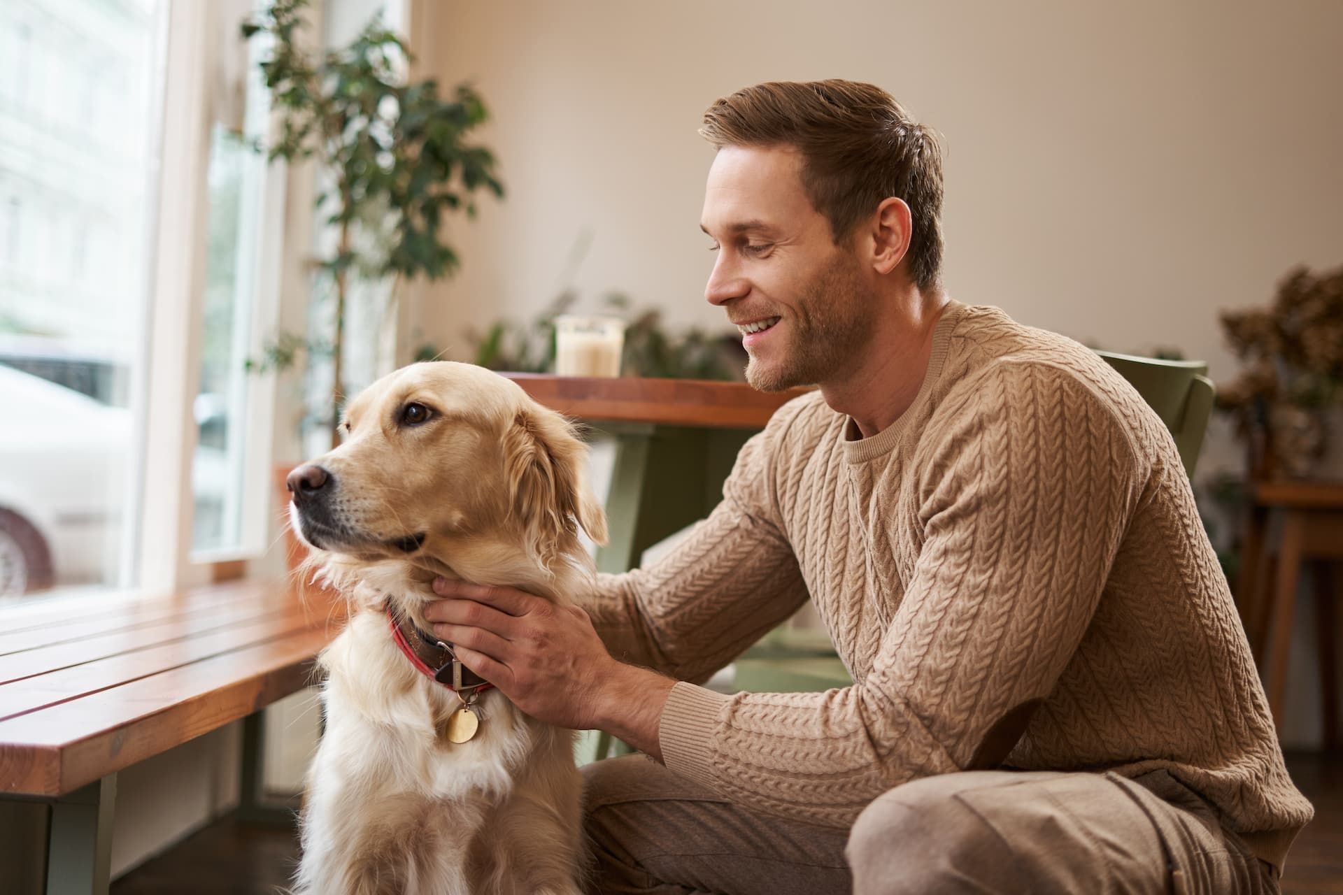 Man petting a golden retriever in a cafe setting, smiling at the dog near a window.