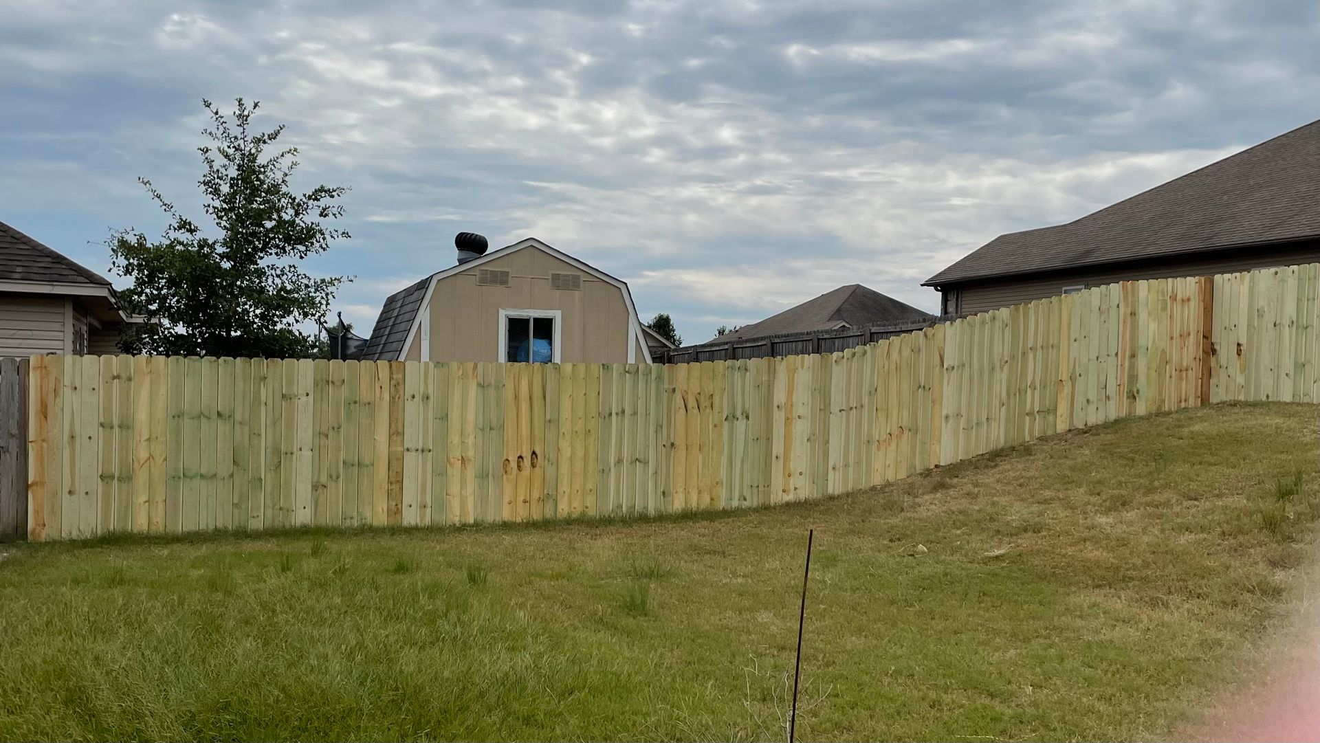 Wooden fence in a backyard, green grass, overcast sky, houses in the background.