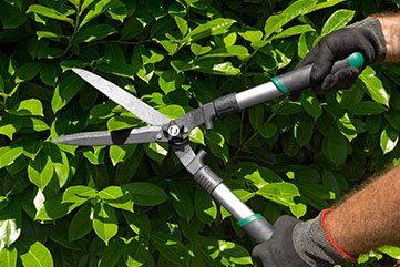 plant trimming — tree services in Pocatello ID