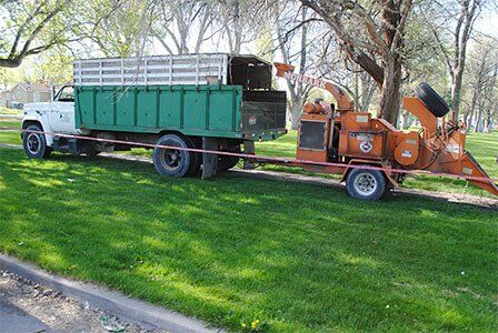 re-planting — tree care in Pocatello ID