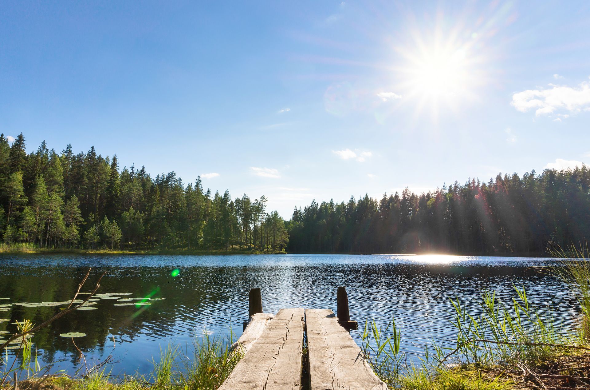Wooden dock extends into a calm lake, surrounded by green trees under a bright sun.