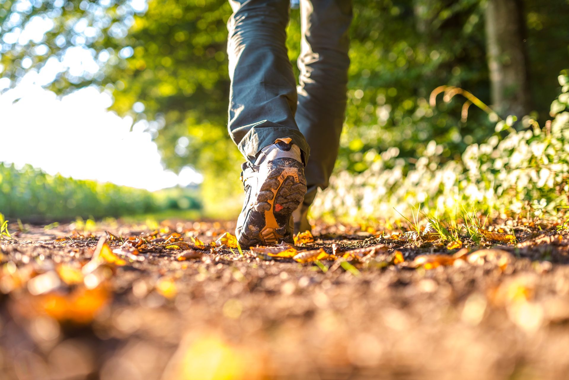 Person walking on a dirt path in sunlight; leaves on ground.