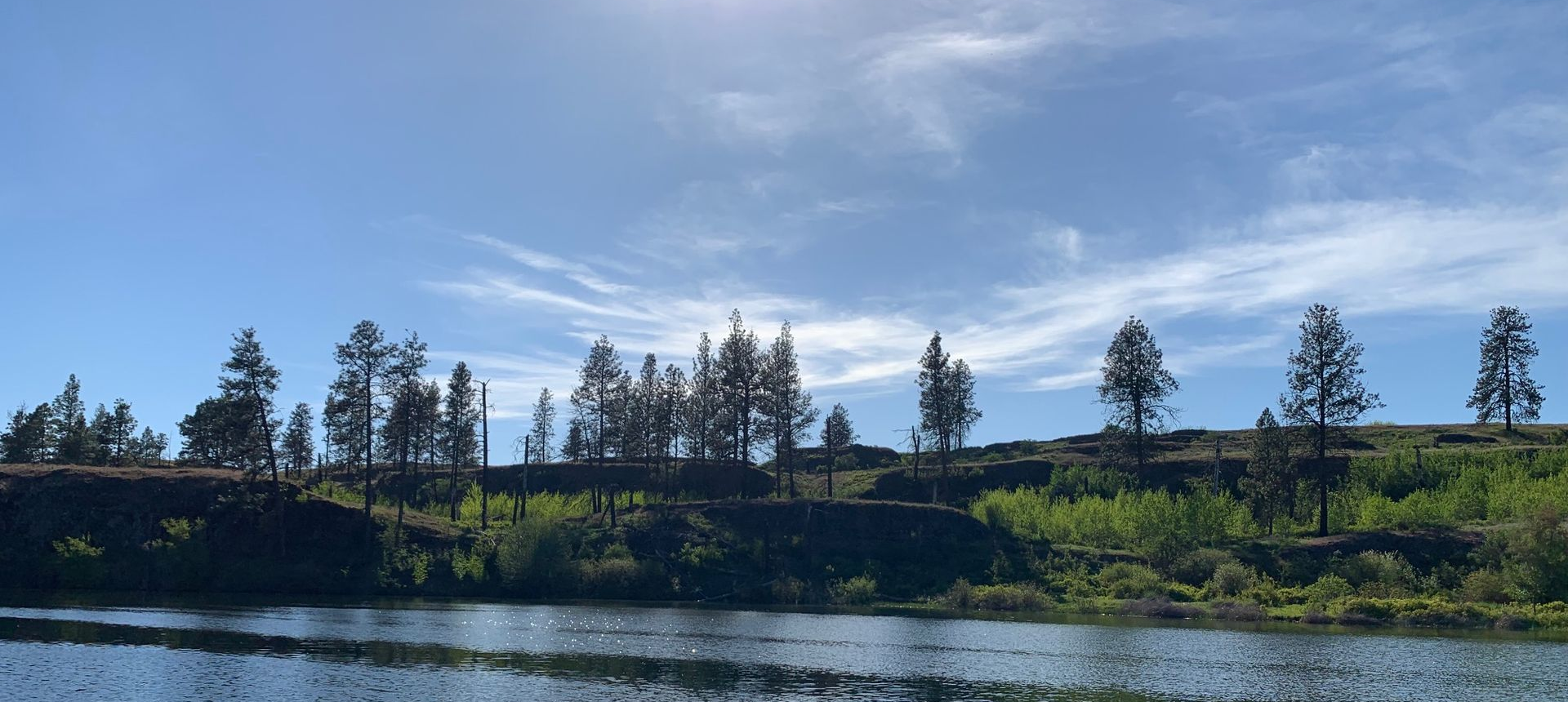 A sunny day over a lake with trees along the shoreline and a clear blue sky.