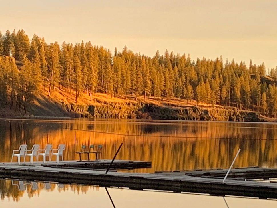 Dock with white chairs, calm water reflecting trees and a golden sunset.