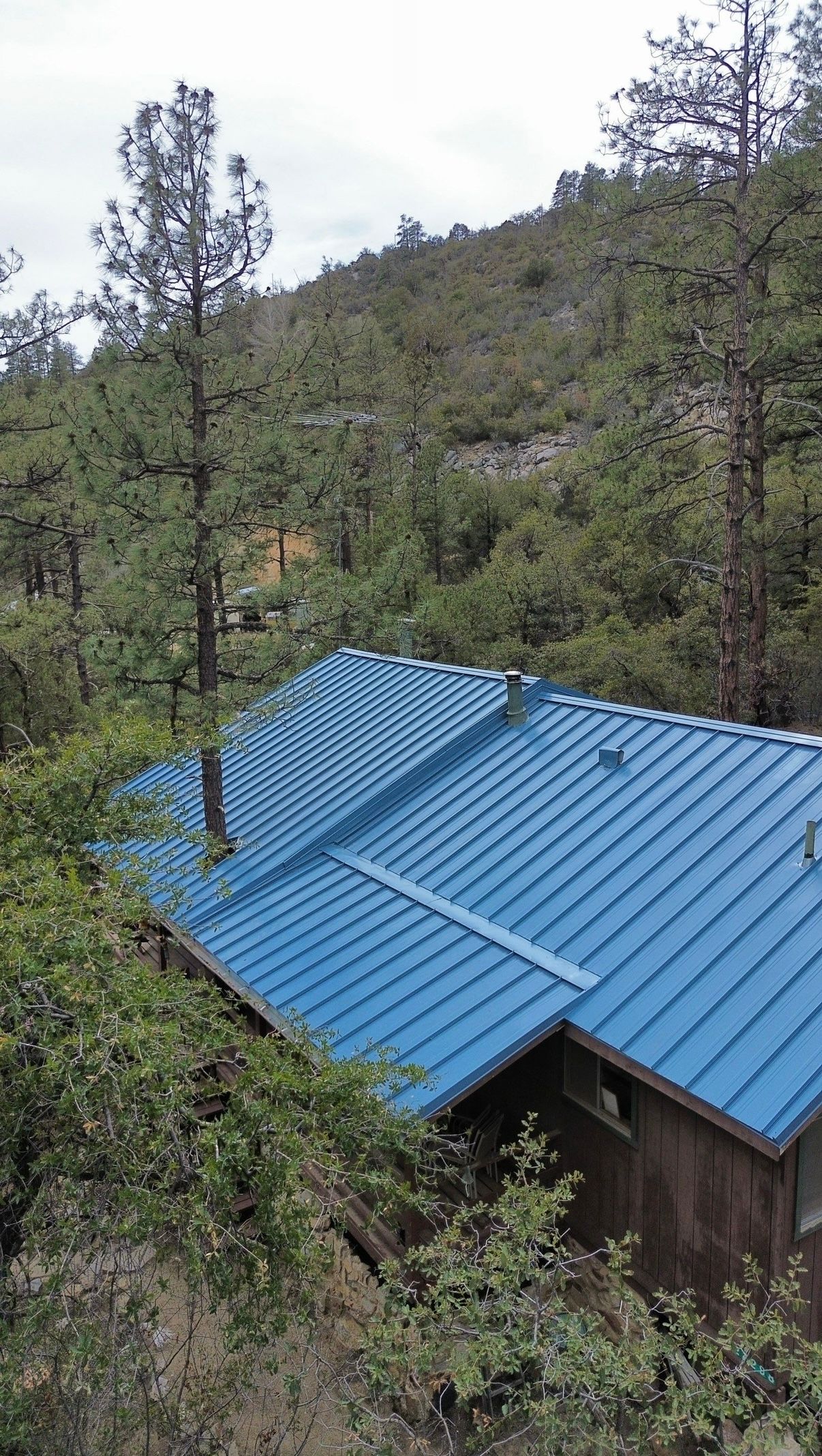 A blue metal roof is sitting on top of a hill surrounded by trees.