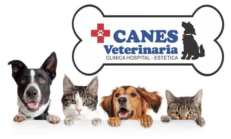 CANES VETERINARIA - Clínica para mascotas