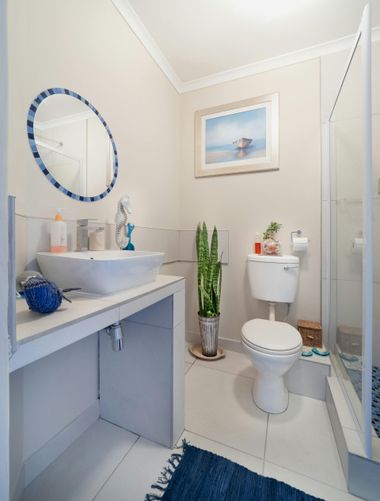 A small, bright bathroom with a white vanity sink, a blue-rimmed round mirror, a tall cactus, and a toilet.