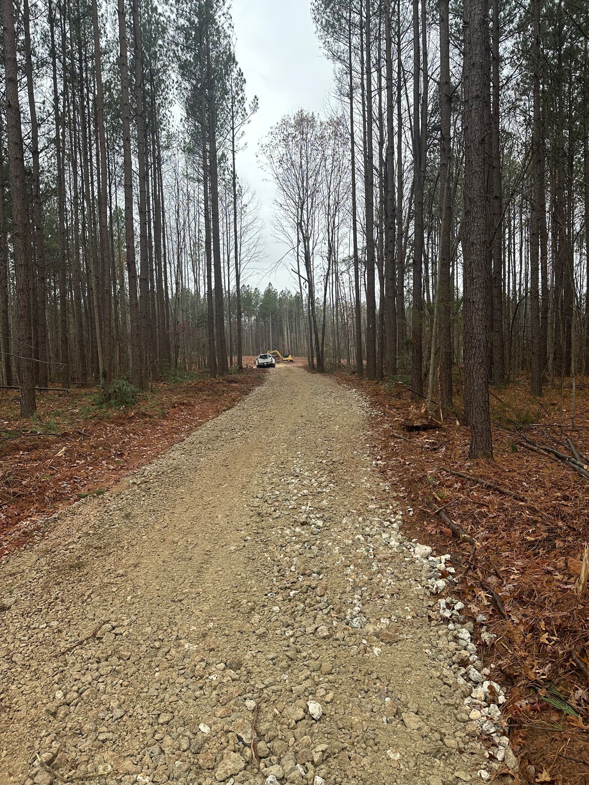 A dirt road going through a forest with trees on both sides.