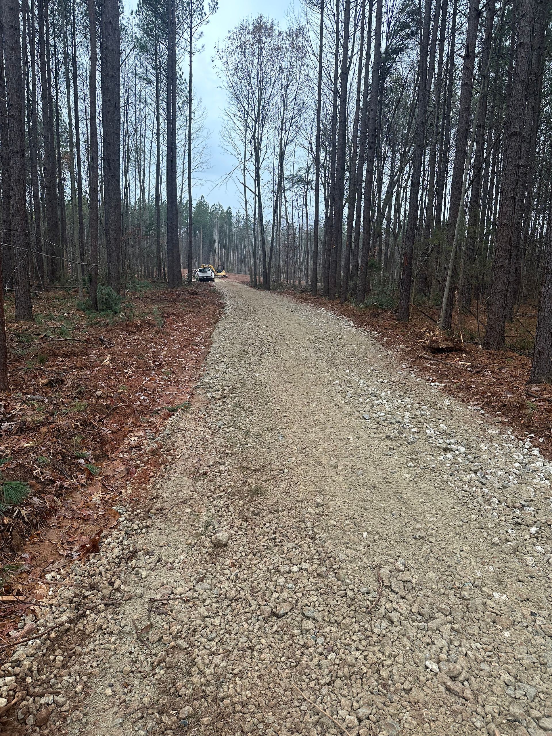 A gravel road in the middle of a forest.