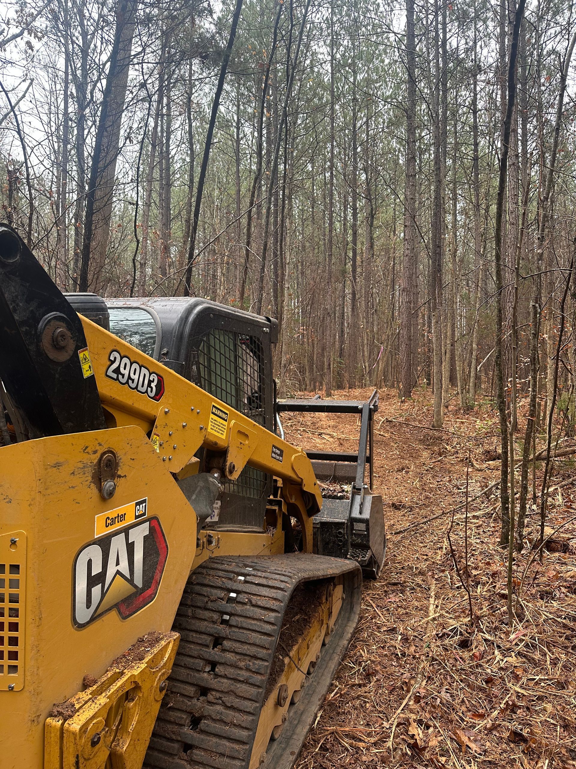 A yellow cat bulldozer is driving through a forest.