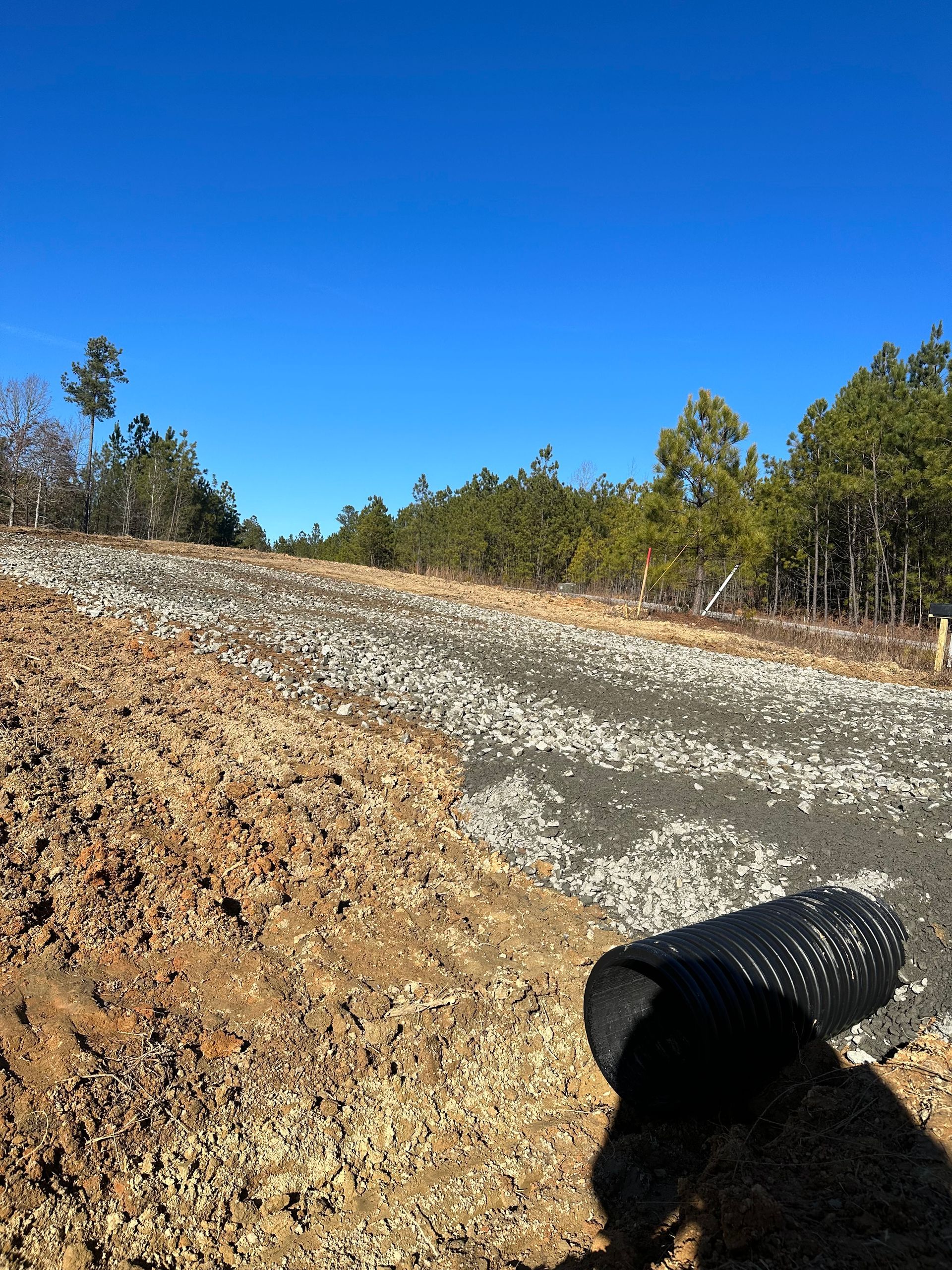 A person is holding a microphone on a dirt road.