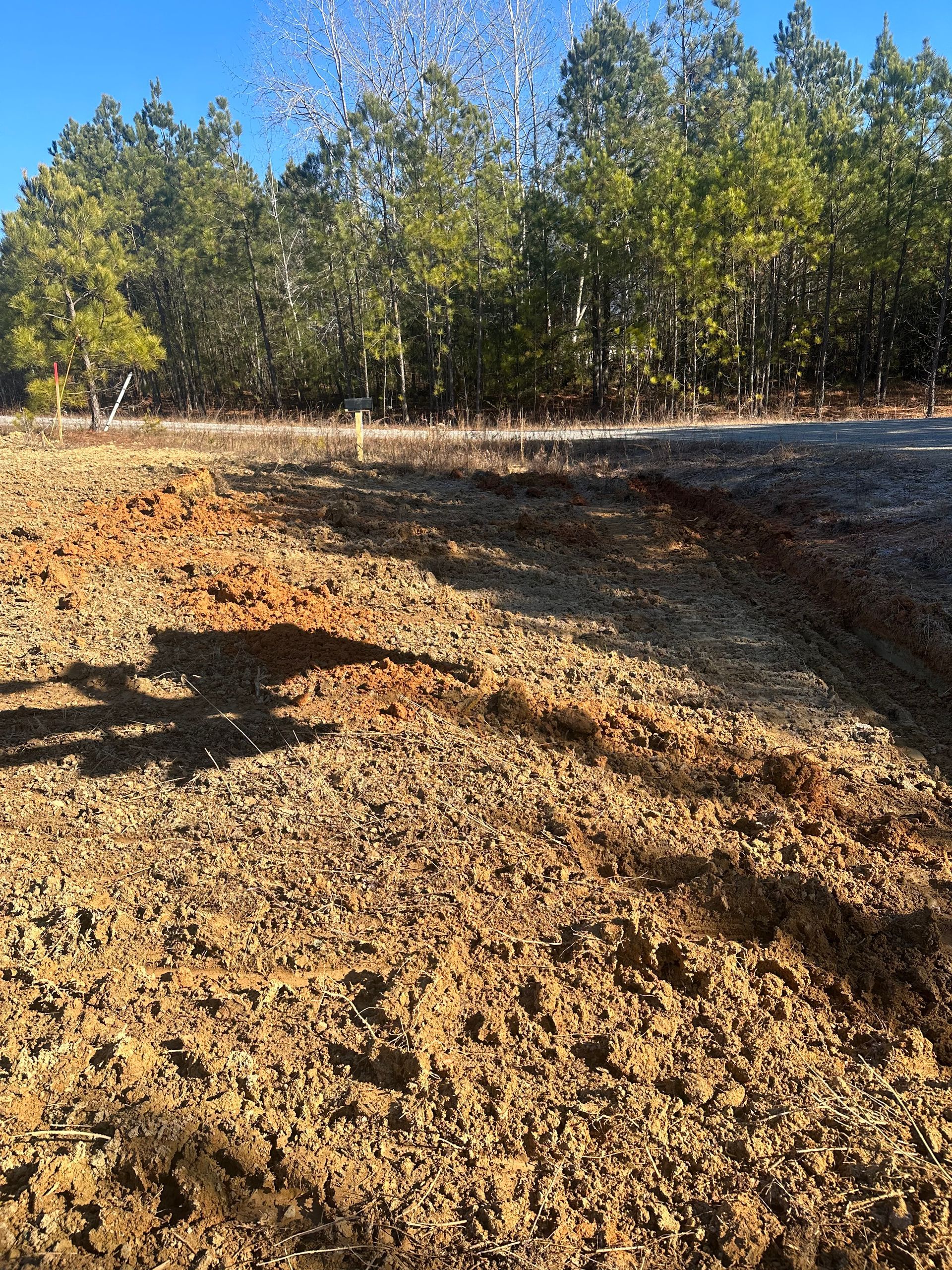 A dirt field with trees in the background on a sunny day.