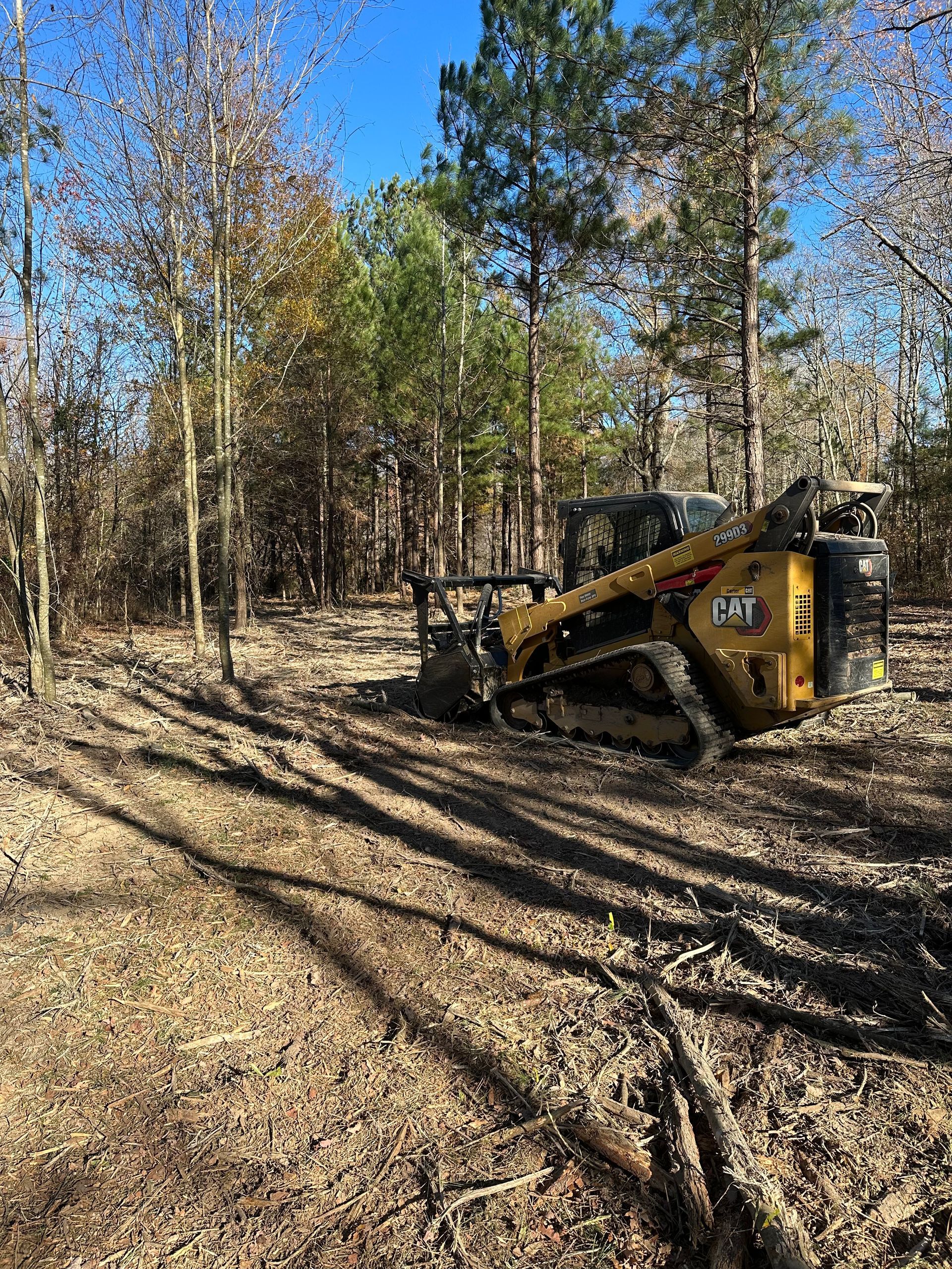 A bulldozer is cutting down trees in a forest.