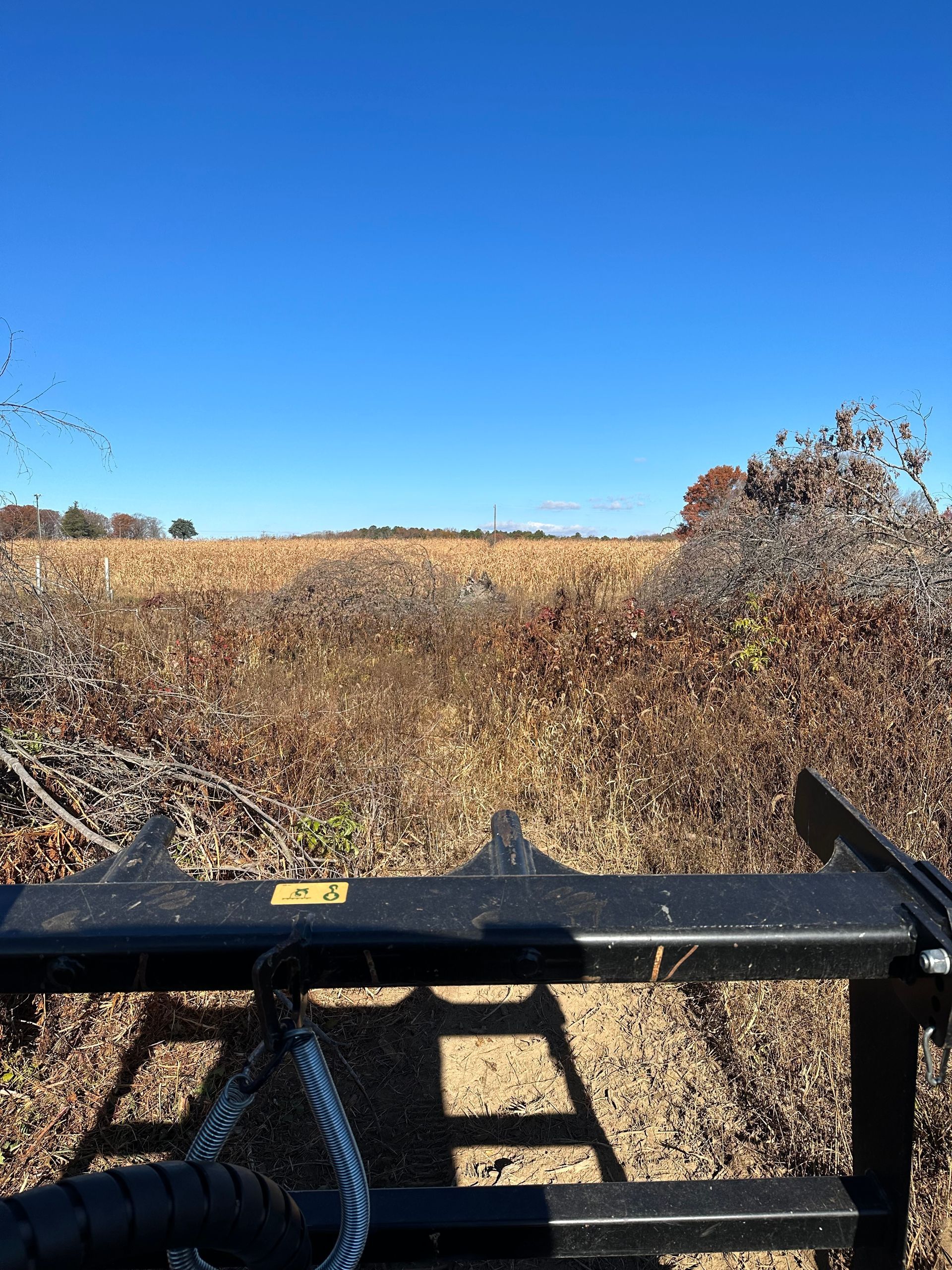 A tractor is in a field with a blue sky in the background