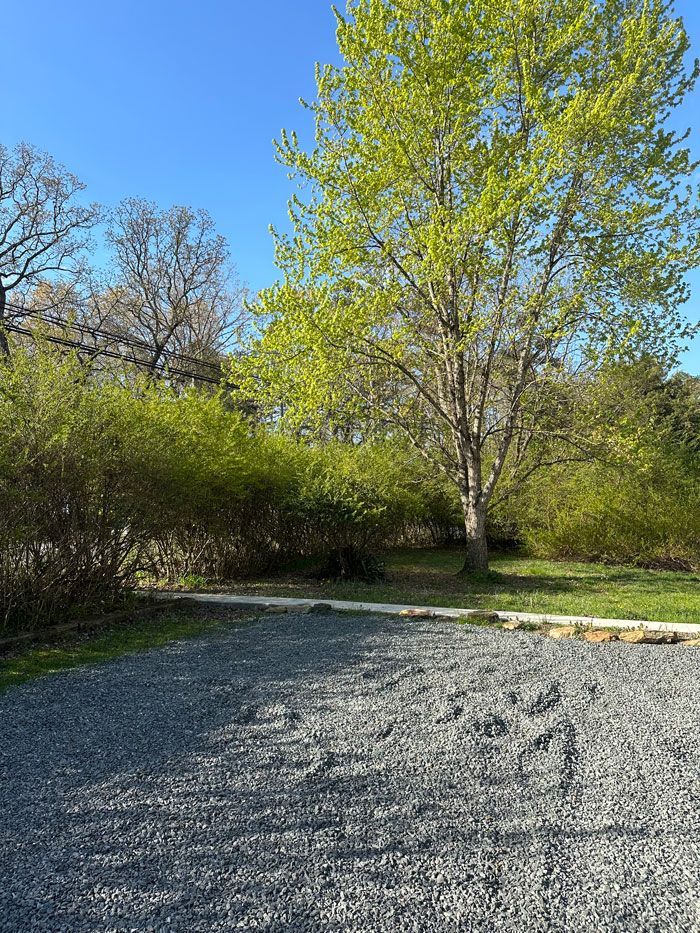 A gravel driveway in a park with trees and bushes in the background.