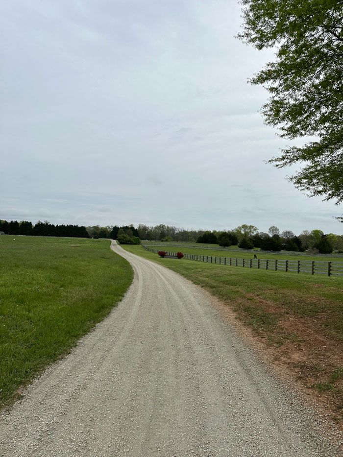 A dirt road going through a grassy field.