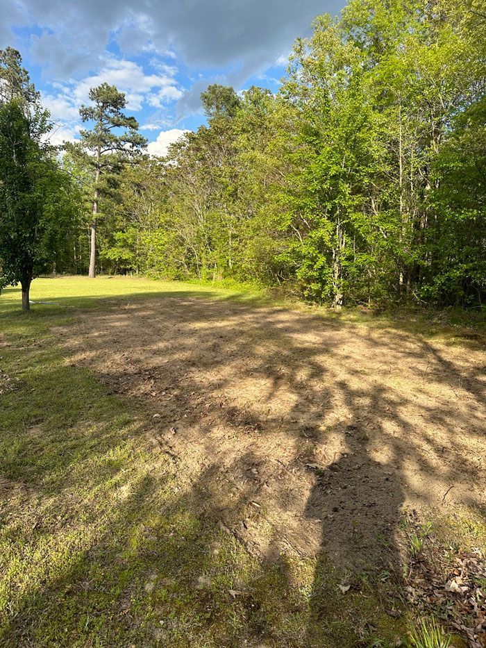 A dirt road going through a lush green forest.