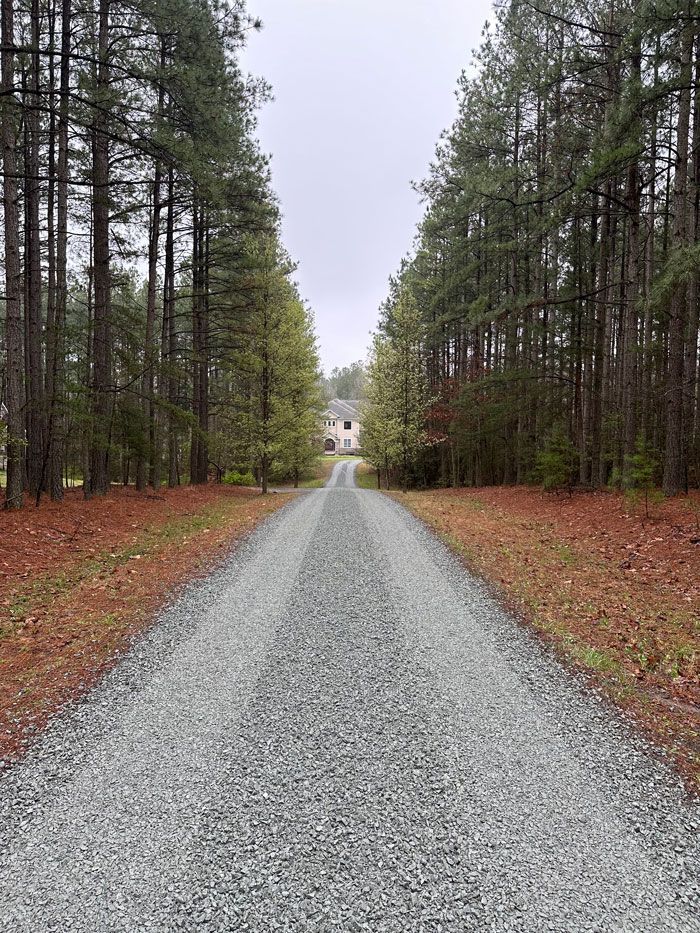 A gravel road going through a forest on a cloudy day.