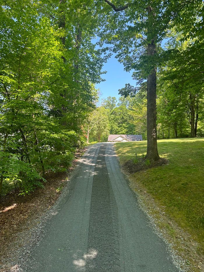 A dirt road surrounded by trees on a sunny day.