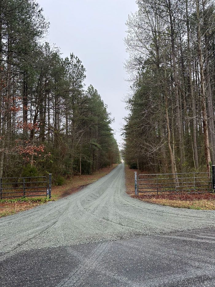 A dirt road going through a forest on a cloudy day.