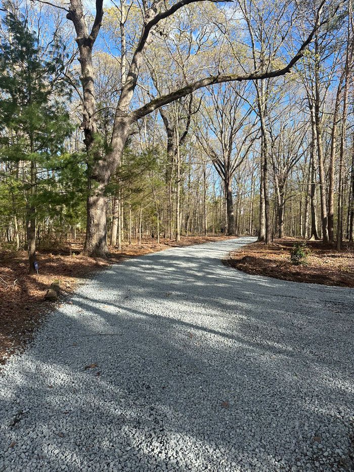 A gravel road going through a forest with trees on both sides.