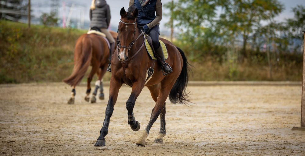A woman is riding a brown horse in a dirt field.