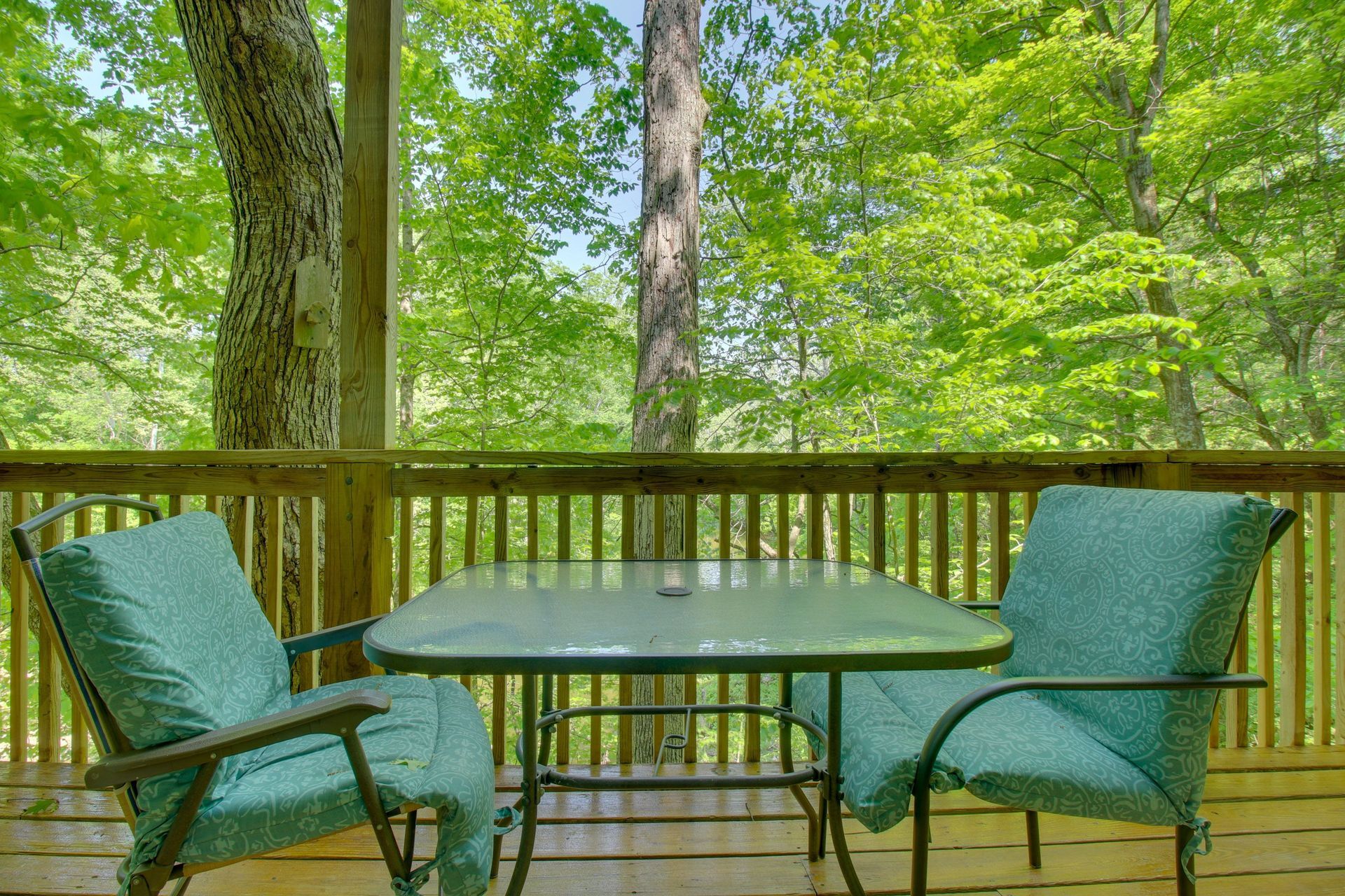 Outdoor deck with a table and two chairs, surrounded by lush green trees.
