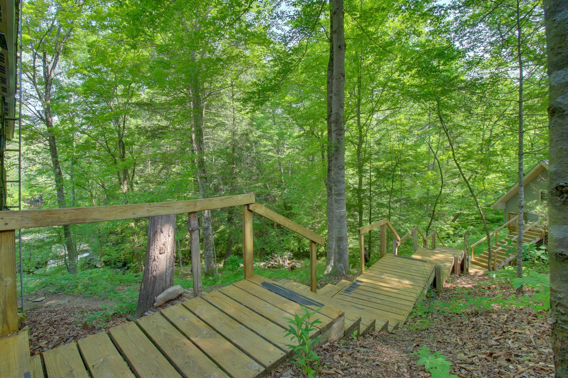 Wooden steps descend through a lush green forest, leading downwards.