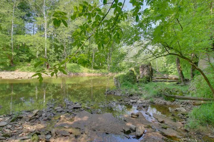 Calm river scene with lush green trees and a rocky bank on a sunny day.