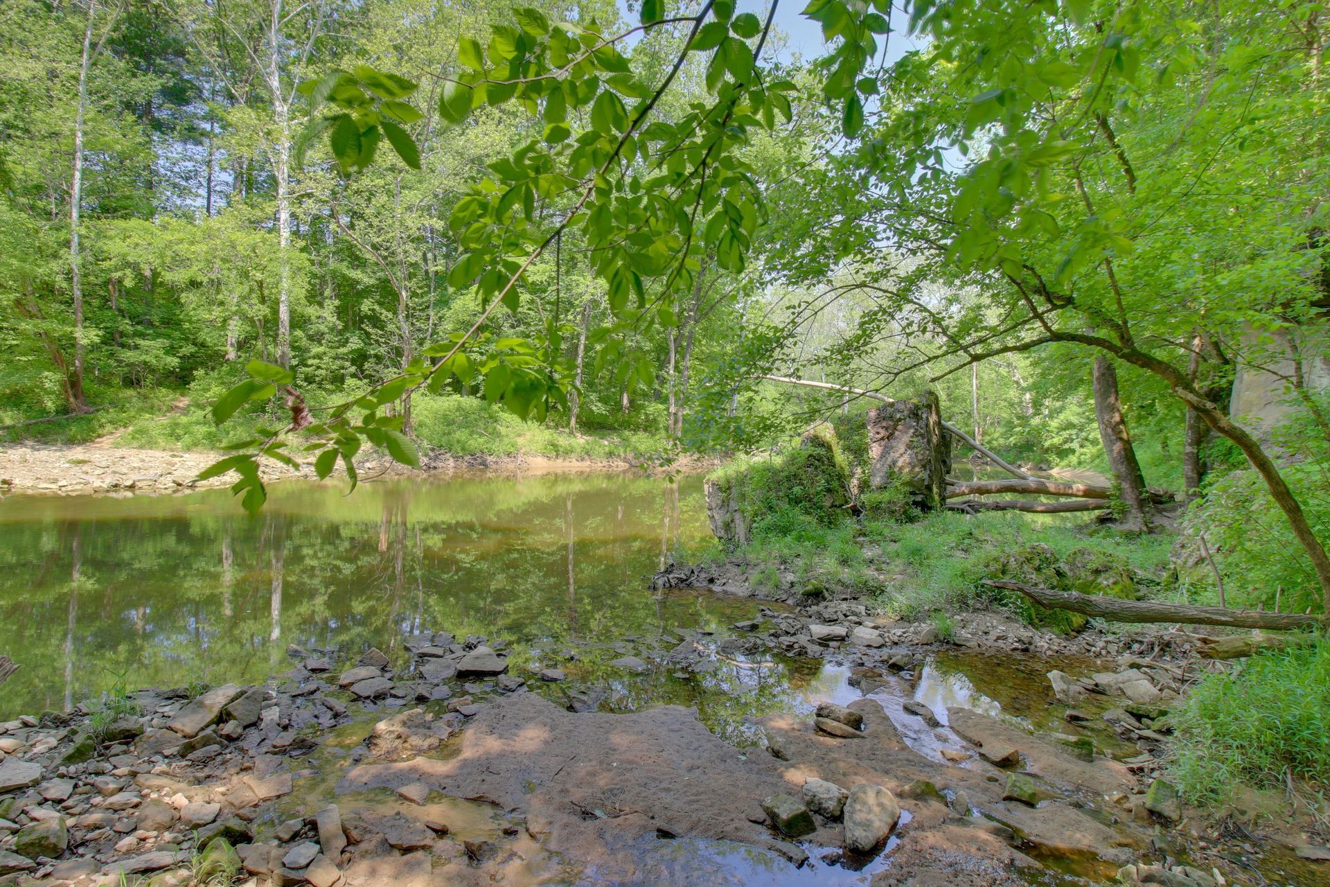 A calm, shallow river flows through a lush forest with trees and green foliage reflecting in the water.