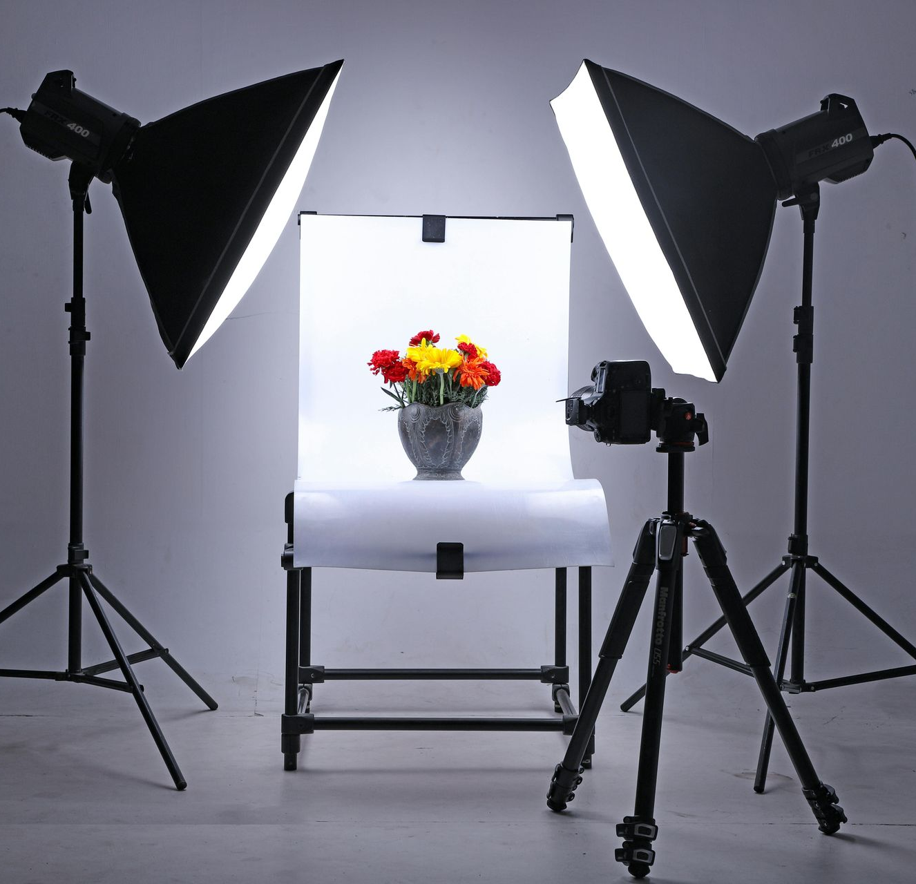 A photo studio with potted plants and lighting equipment