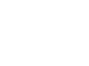 Window & Door Repairs & Replacement