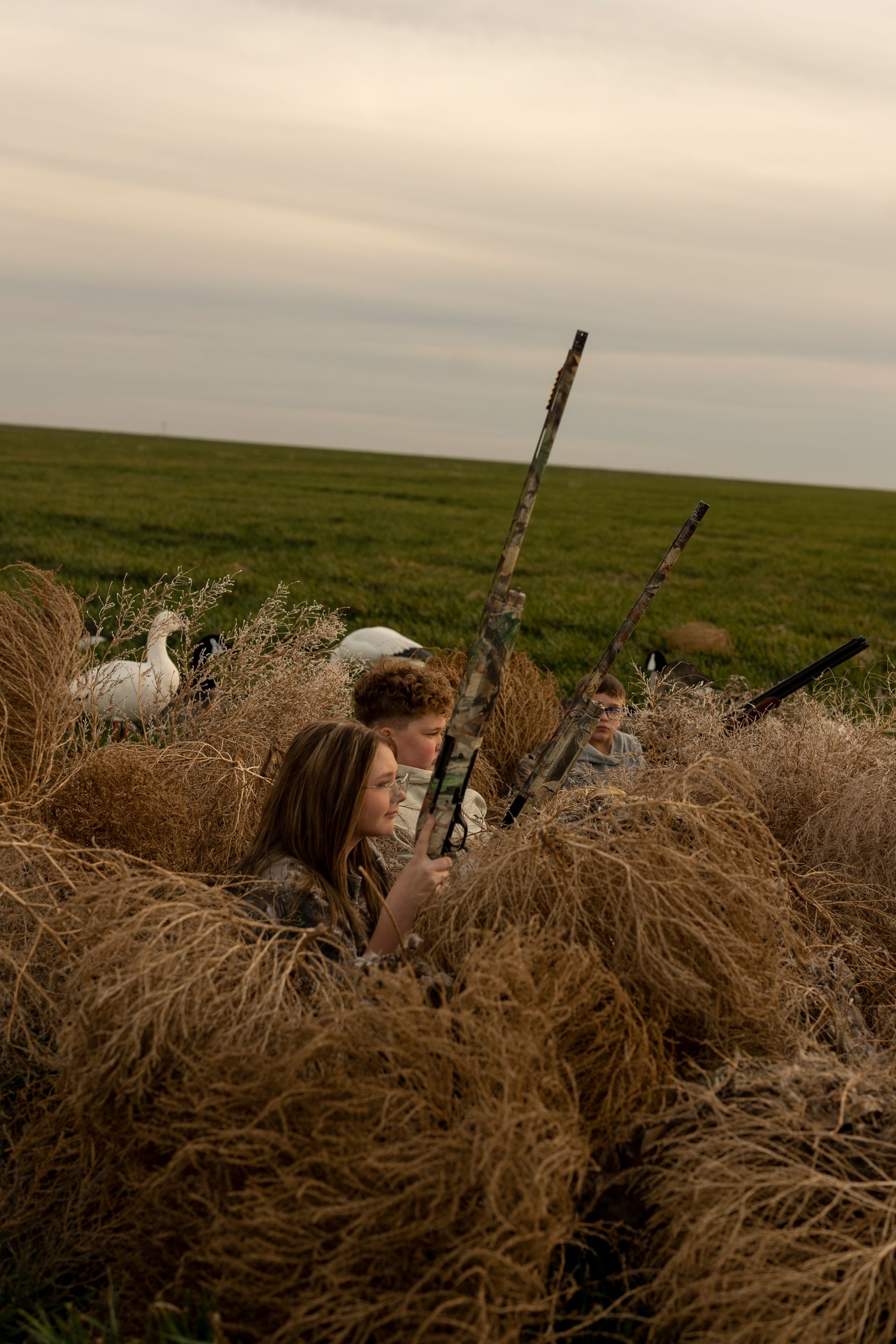People duck hunting in a field, concealed by tall grass, aiming shotguns. A decoy stands nearby under an overcast sky.