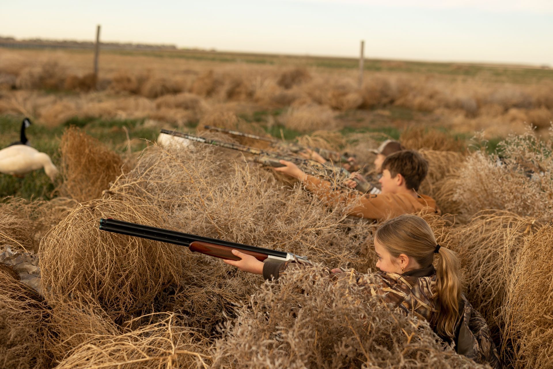Three people aiming shotguns from a blind in a field, with a goose nearby.