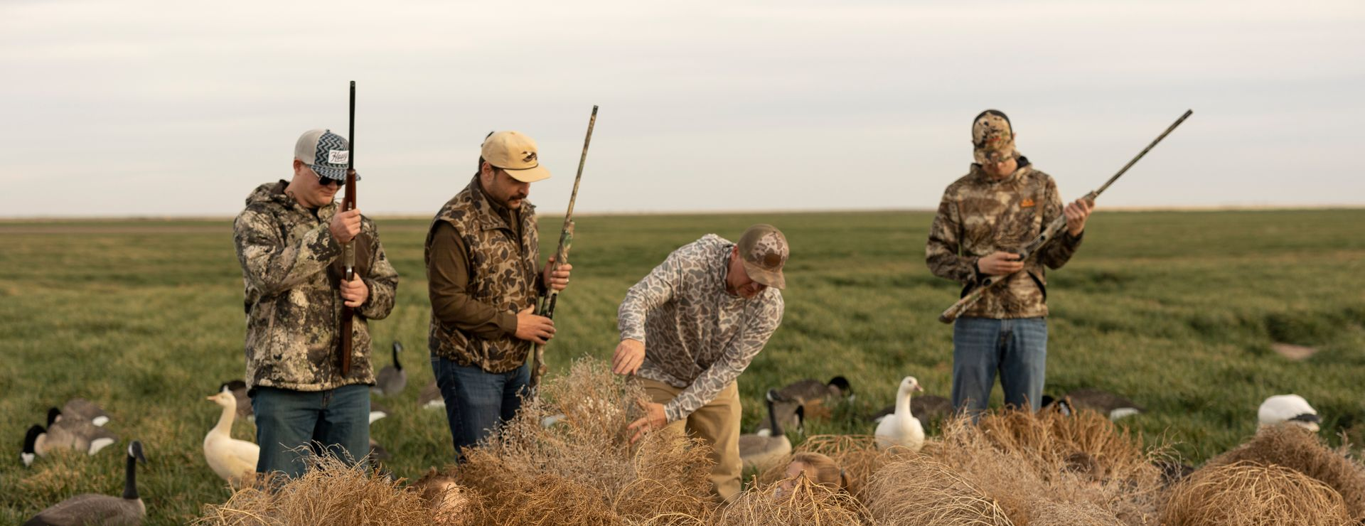 Four hunters in camouflage with shotguns in a field with goose decoys.