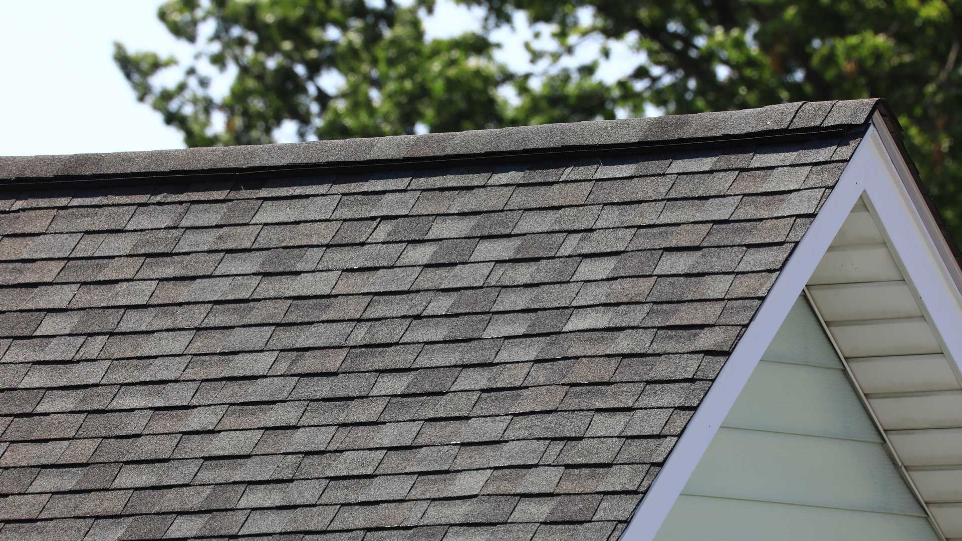 Gray asphalt shingle roof on a house, angled against a backdrop of green trees.