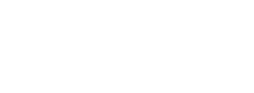Un cane bianco con un collare blu è seduto su una terrazza di legno e guarda verso l'osservatore con un'espressione neutra.