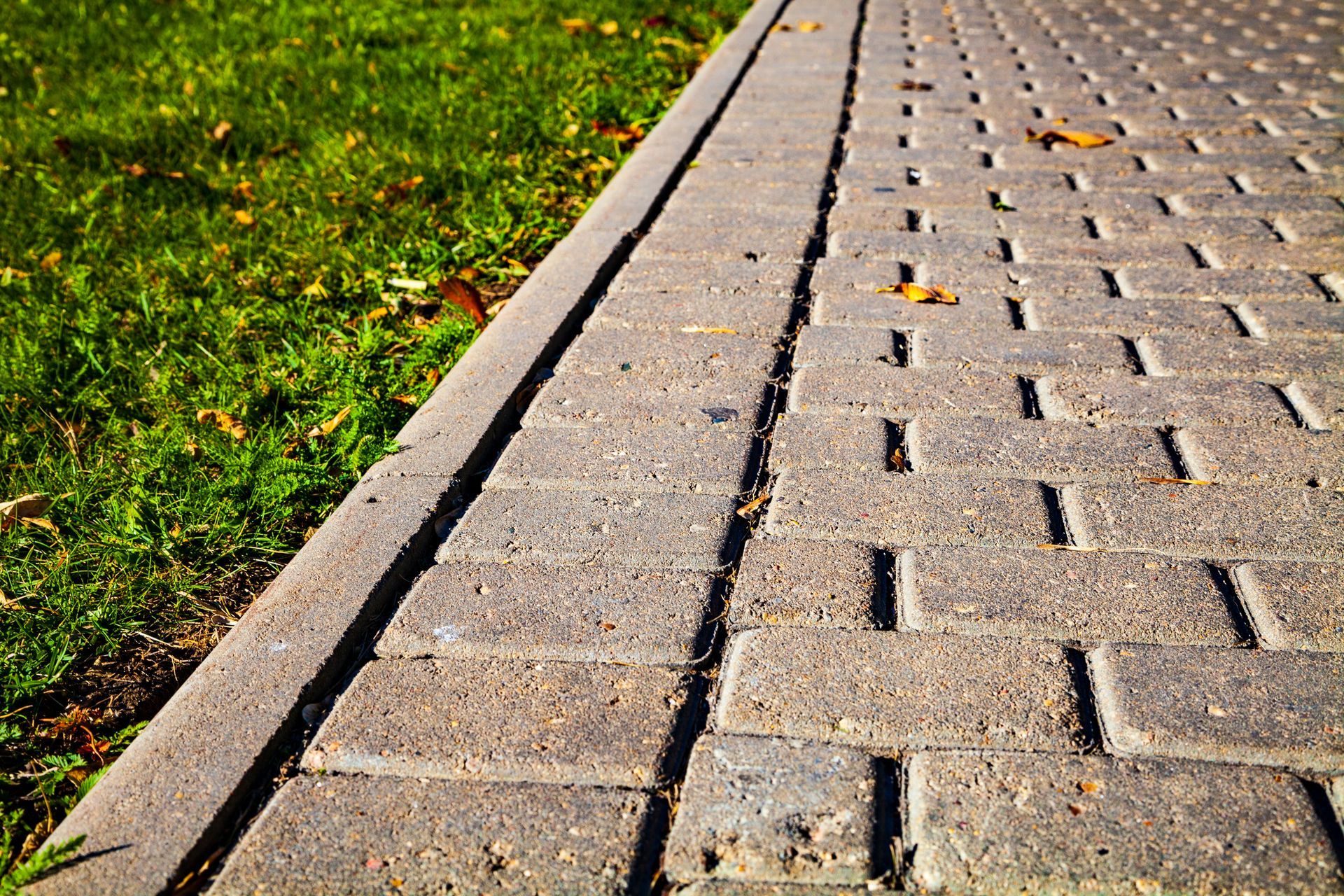 Brick sidewalk bordering green grass.