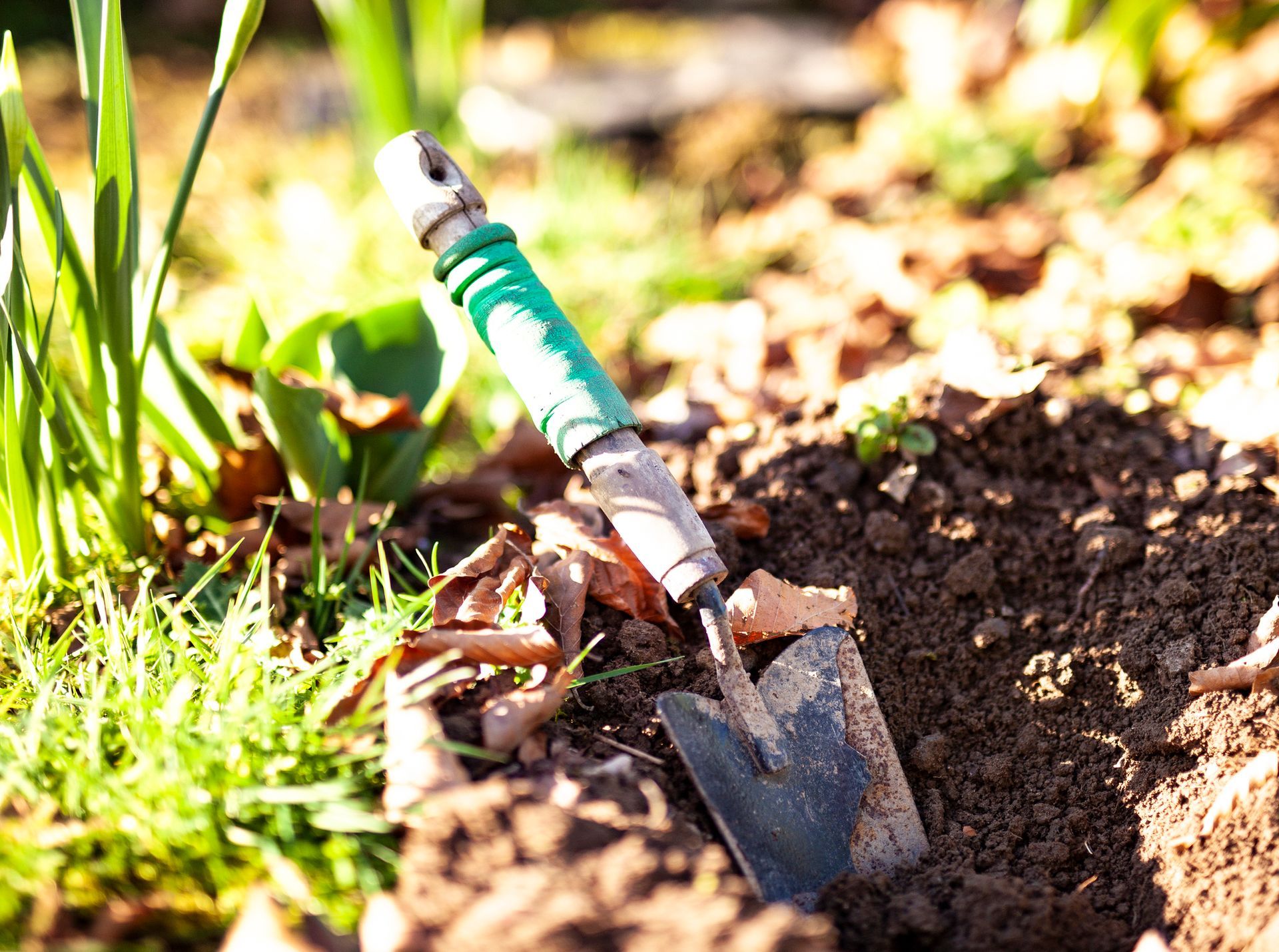 Trowel with green handle plunged into freshly dug soil in a garden bed.