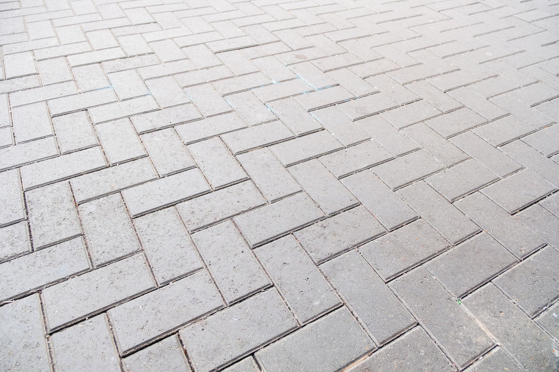 Gray brick pavement in a herringbone pattern.