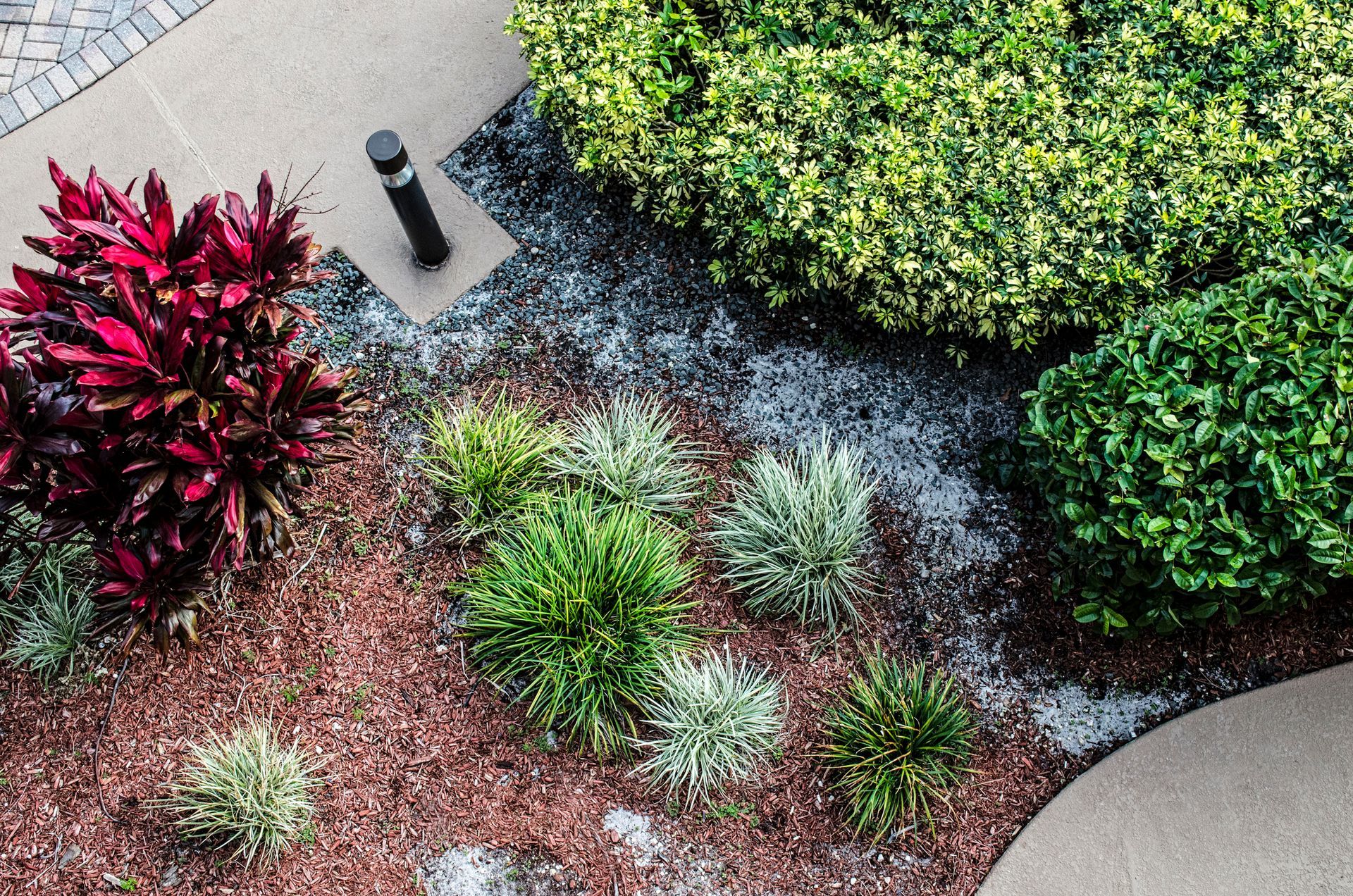 Overhead shot of a landscaped garden with red, green, and silver foliage, and tan and red mulch.