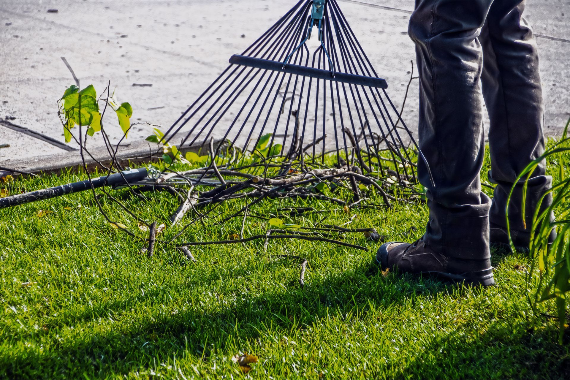 Person raking fallen branches on a green lawn, wearing boots and dark pants, concrete path in the background.