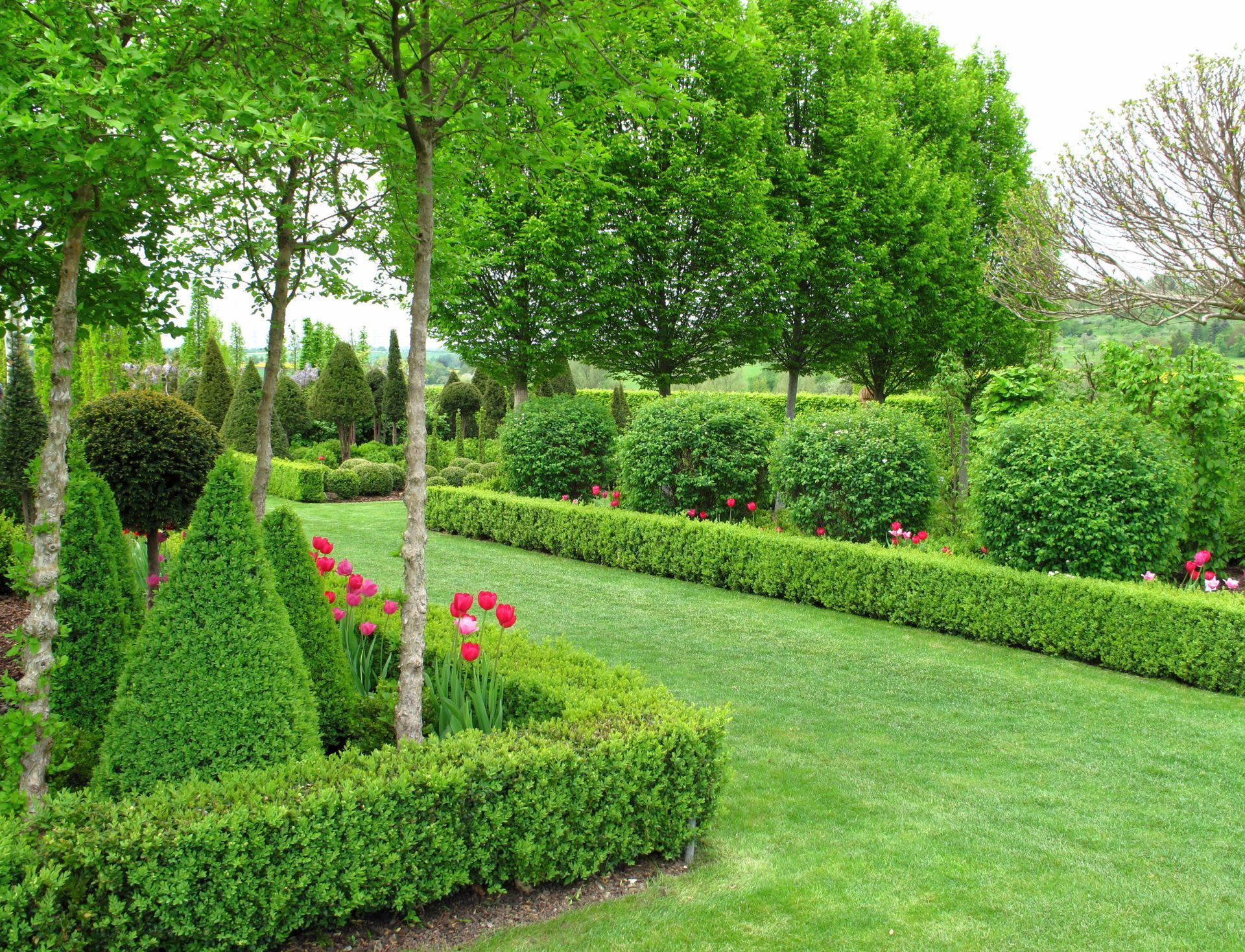 Lush green garden with manicured hedges, trimmed trees, and a grassy path.