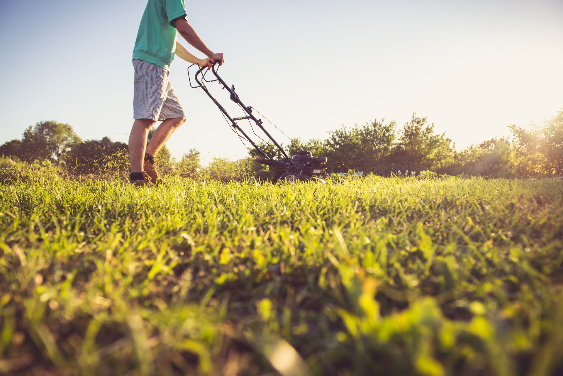 A person mowing a grassy lawn on a sunny day.