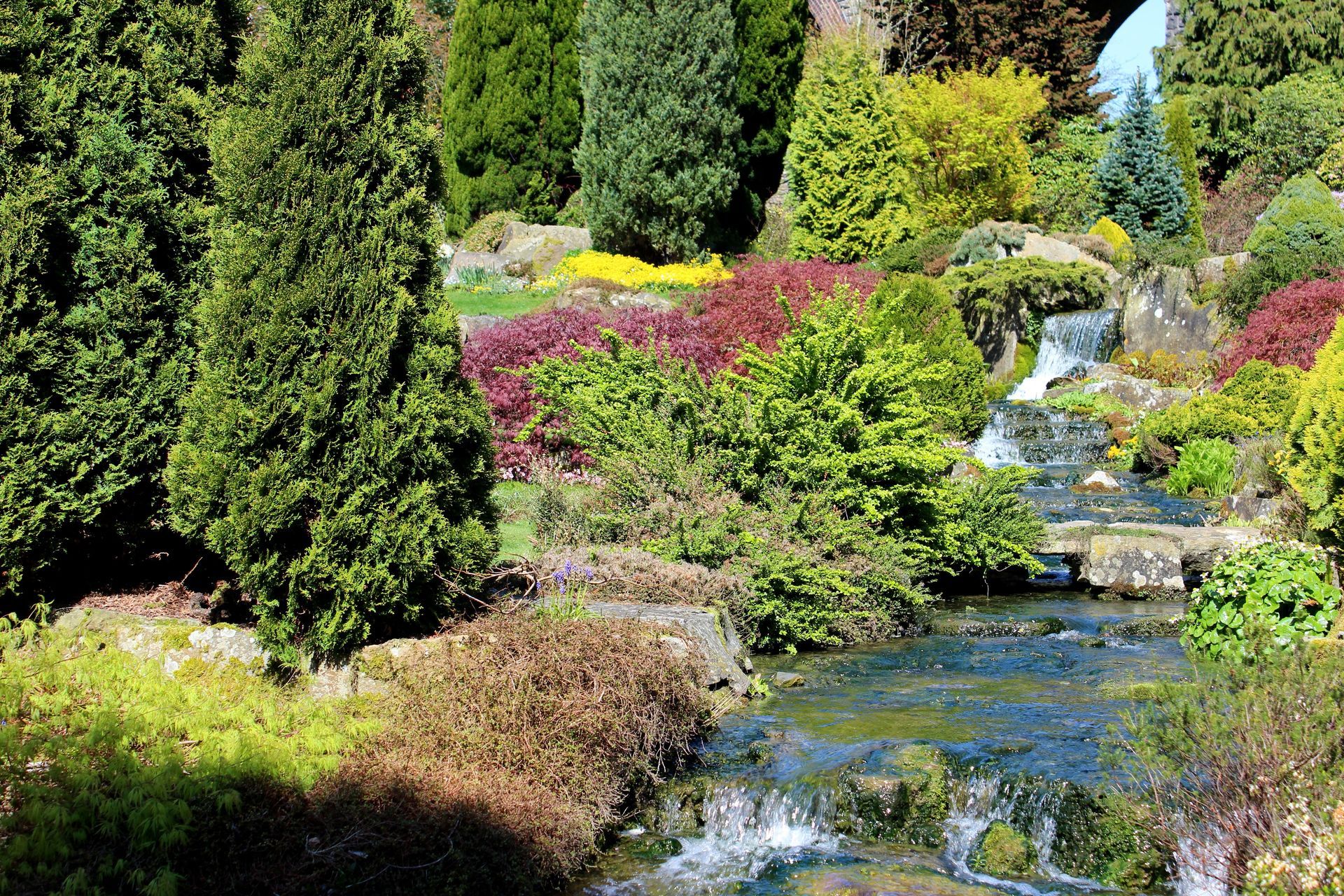 A lush garden with a cascading waterfall, vibrant plants and trees in varied colors.