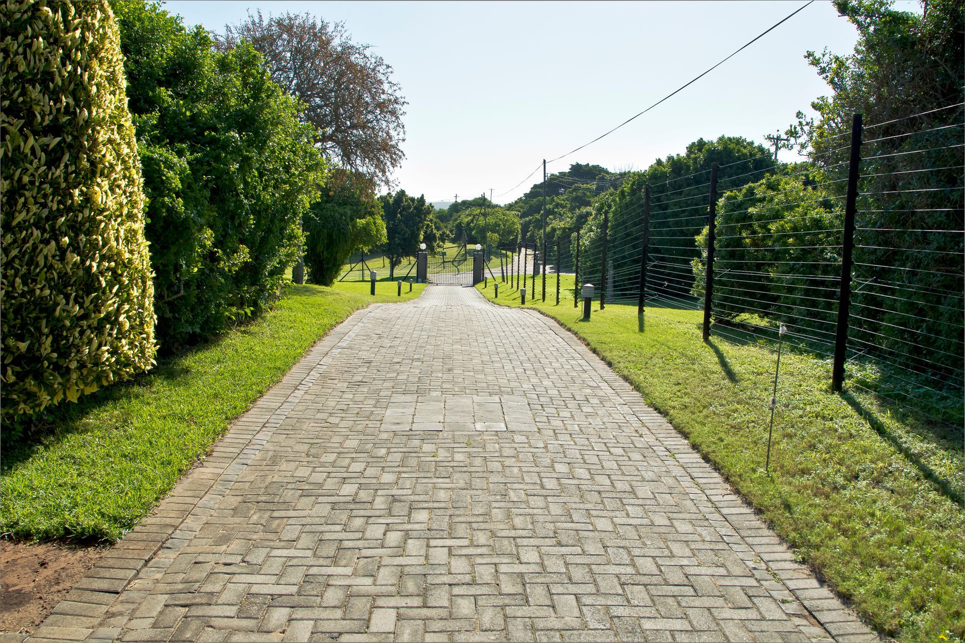 Brick pathway through a green space with trees, leading toward a building under a clear sky.