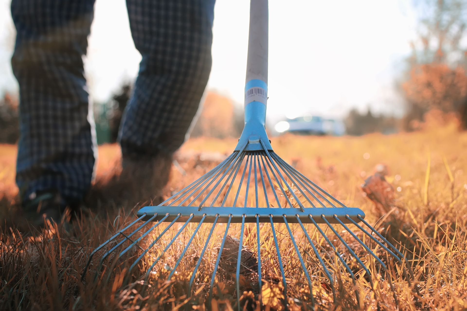 Person raking dry leaves in a yard, close-up on the rake and legs, sunny day.