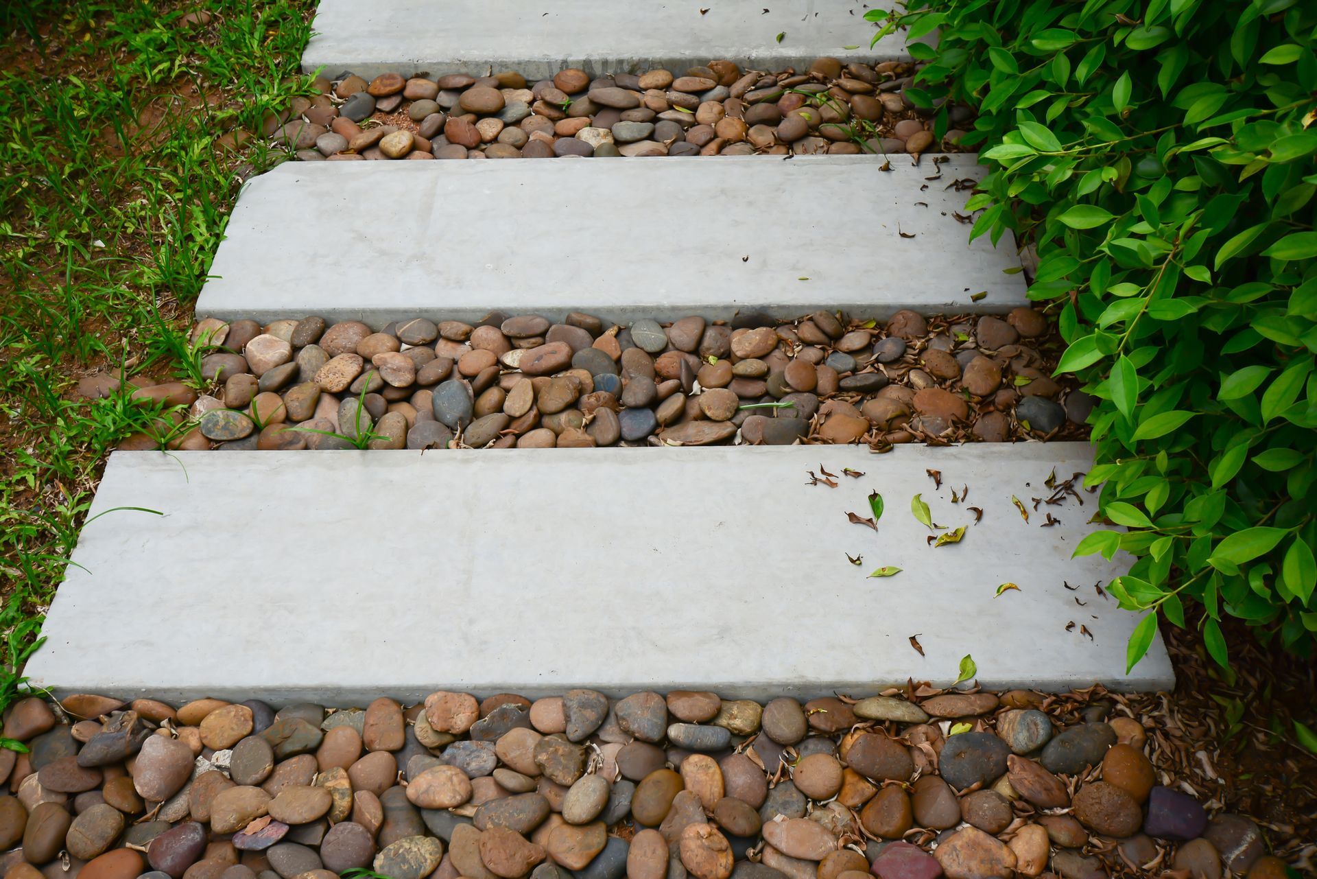Concrete steps stepping stones with pebbles, alongside green grass and foliage.