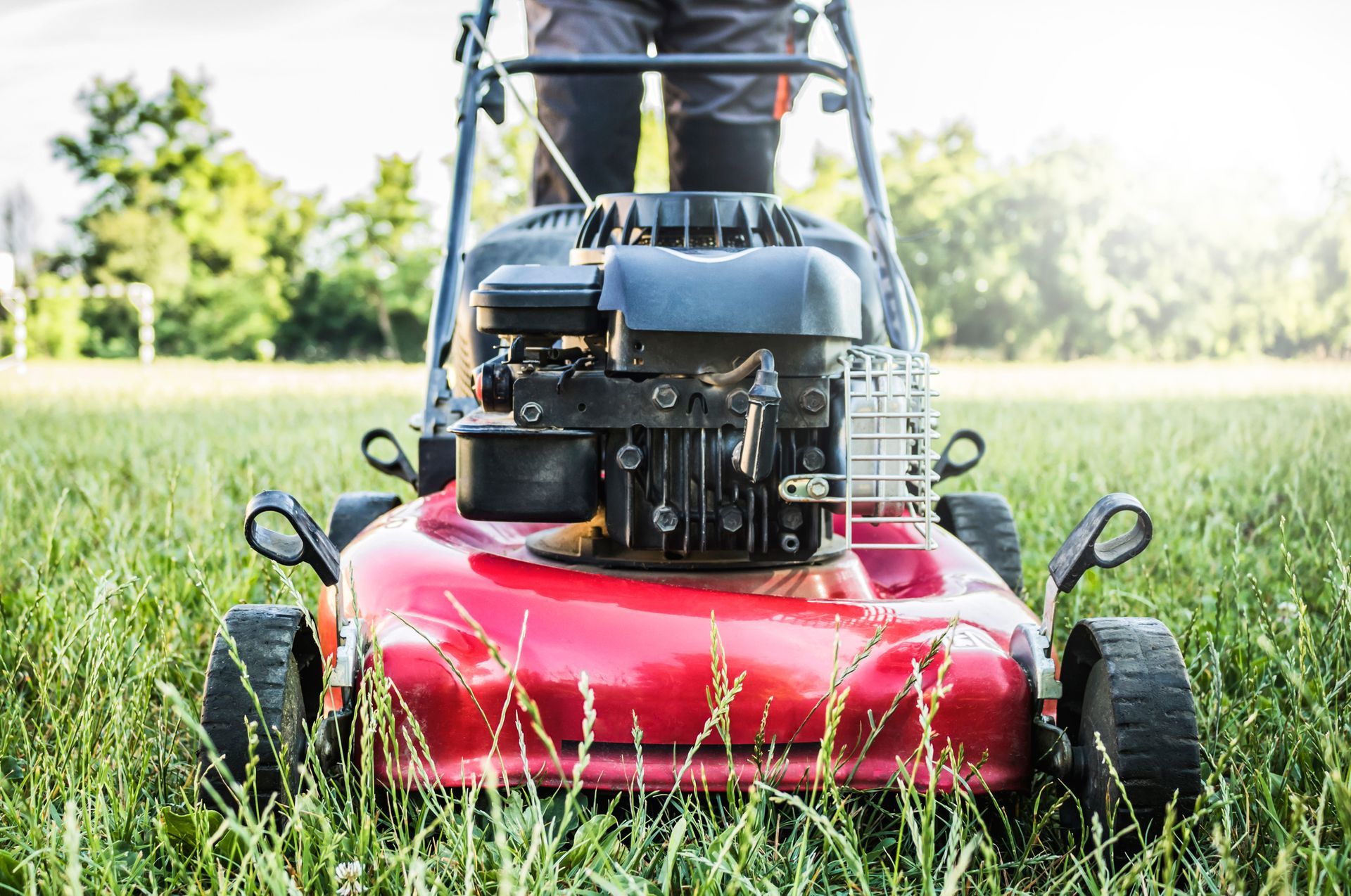 Person mowing a grassy lawn with a red lawnmower on a sunny day.