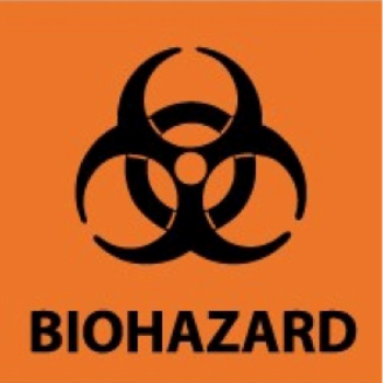 Bloodborne Pathogens Training world class safety
